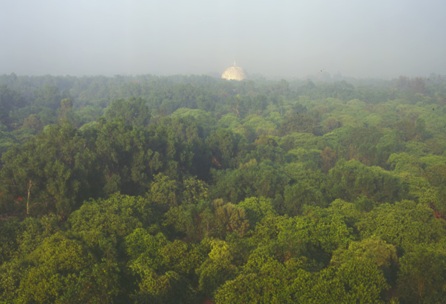 Auroville