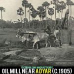 Oill-Mill-Near-adyar-1905-4